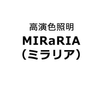 MIRaRIA-視覚で感じてみよう編-